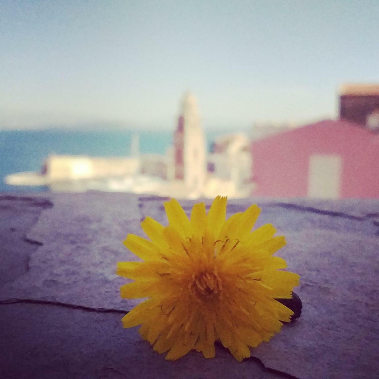 Il Vecchio E Il Mare Acomodação com café da manhã Gaeta Exterior foto